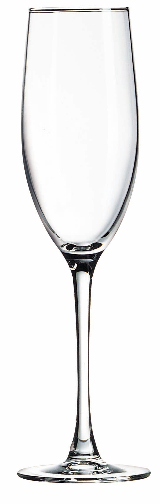 Cachet 8 oz. Grand Champagne Flute