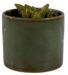 Heirloom™ Brewster Island™ Candle Jar - Antique Sage 14.8oz