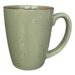 Splash Stoneware Green Smoke w/Dark Brown Cup (11oz)